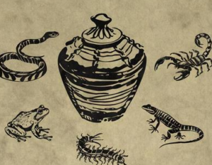 蟲毒におすすめの壺の形状と市販のおすすめ容器詳細説明
