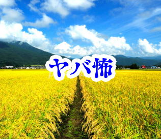 田んぼに現れる“足跡の列”の怪【オカルト豆知識｜身近なやばい場所シリーズ80】_田んぼ 足跡 オカルト 怪異