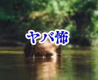 洗面台の水に浮かぶ“違う顔”【オカルト豆知識｜身近なやばい場所シリーズ93】洗面台の水に浮かぶ違う顔 オカルト 体験談