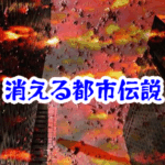 【本棚が消える書店の怪異】空間が欠落する現象の実録と都市伝説|無くなった書店の本棚|書店の本棚が消える現象