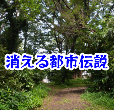 消えた山道の分岐点 【消えた空間・都市伝説シリーズ35】消えた山道の分岐点の怪異