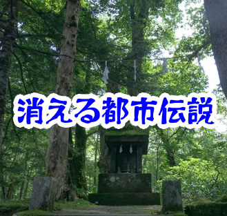 山道で消えた祠と神隠しの記録｜足跡だけ残る空間怪異【消えた空間・都市伝説シリーズ46】消えた祠の神隠しの山道