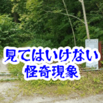 林道で見てはいけない立札｜警告文が消える看板と戻れなくなる理由【人が見てはいけないモノ現象シリーズ20】林道の見てはいけない立札