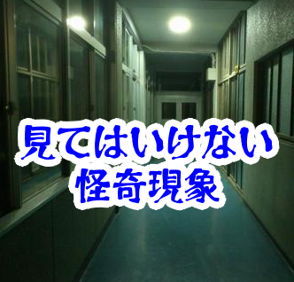 夜の学校で見てはいけない掲示物｜登校記録が消える張り紙の怪異【人が見てはいけないモノ現象シリーズ15】夜の学校の見てはいけない掲示物