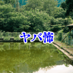 🏫 廃校のプールから現れる“誰かの手”【オカルト豆知識｜身近なやばい場所シリーズ60】廃校のプール 怪談