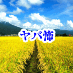 田んぼに現れる“足跡の列”の怪【オカルト豆知識｜身近なやばい場所シリーズ80】_田んぼ 足跡 オカルト 怪異